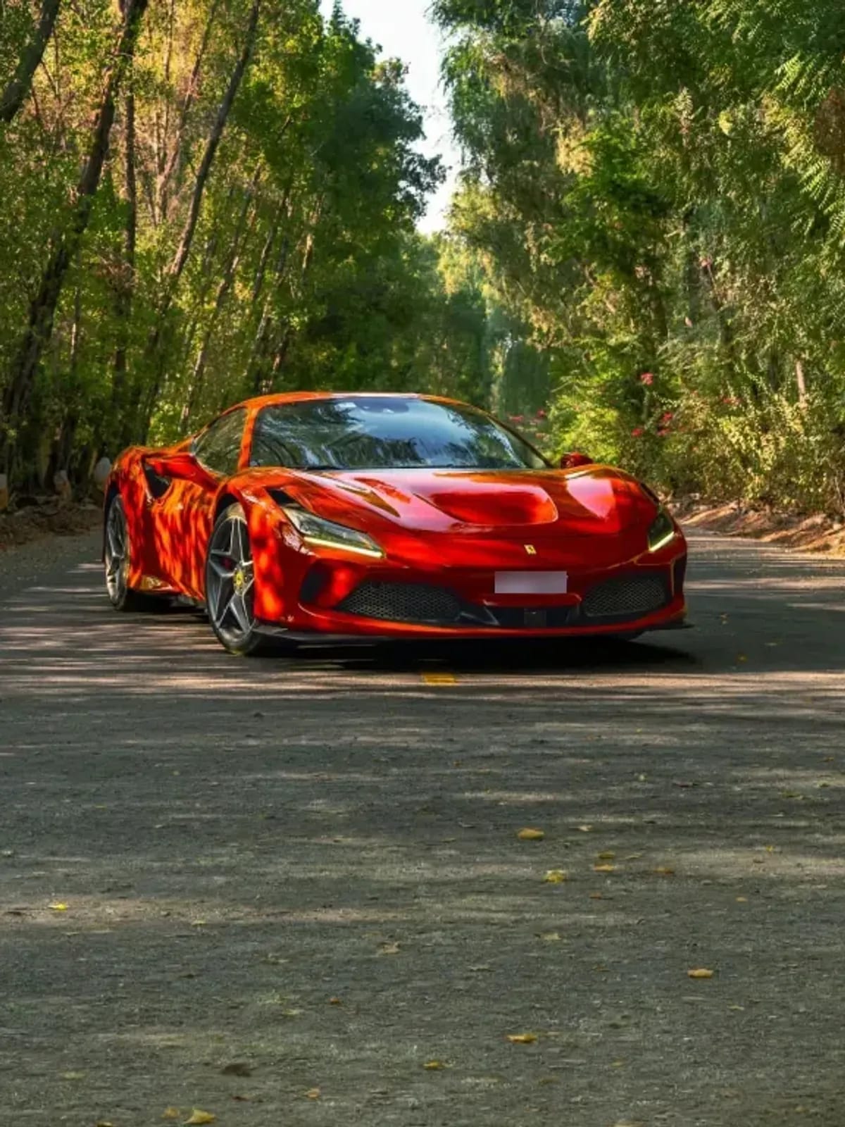 F8